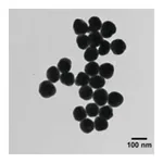 Merck SILVER, DISPERSION, NANOPARTICLES, 100 &