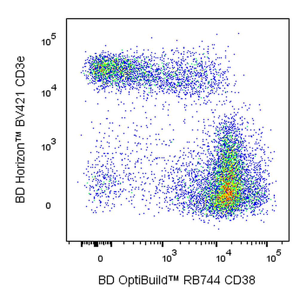 BD RB744 Rat Anti-Mouse CD38