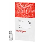 Thermo Fisher Scientific FluoSpheres Polystyrene Microspheres, 15 μm, yellow-green fluorescent (505/515), for blood flow determination