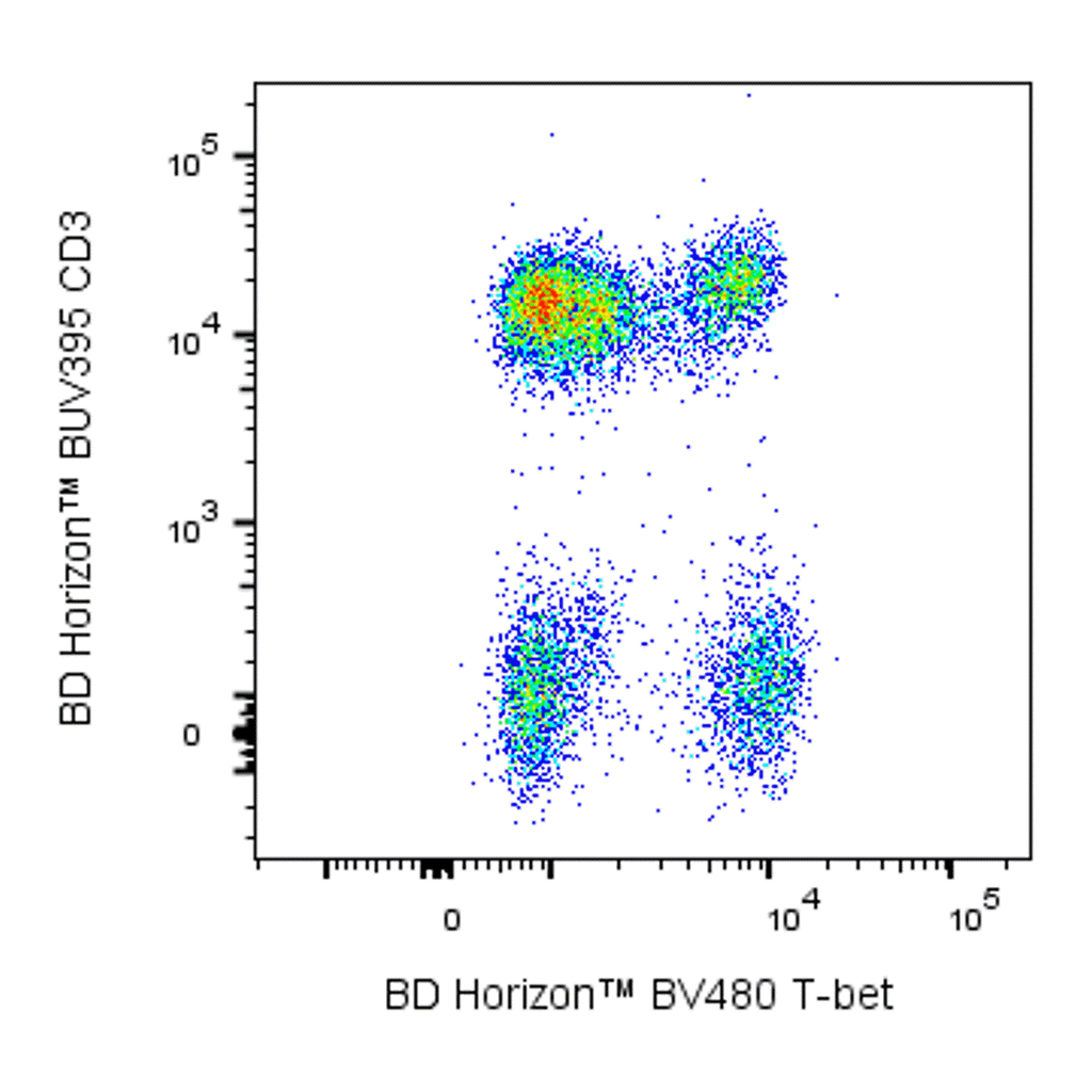 BD BV480 Mouse Anti-T-bet