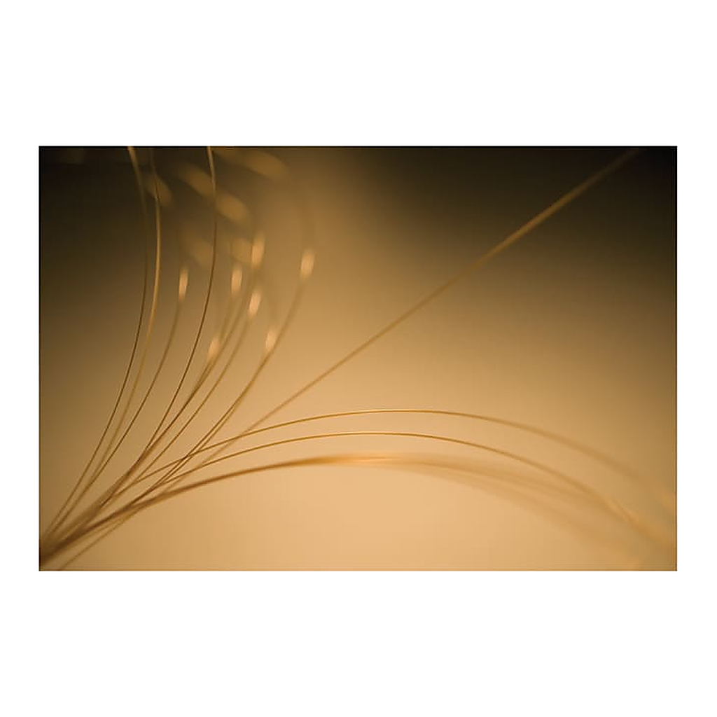 Thermo Fisher Scientific GuardGOLD Capillary Columns
