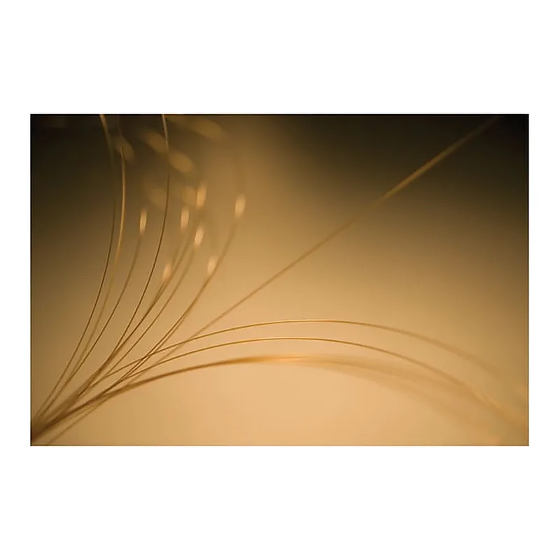Thermo Fisher Scientific GuardGOLD Capillary Columns