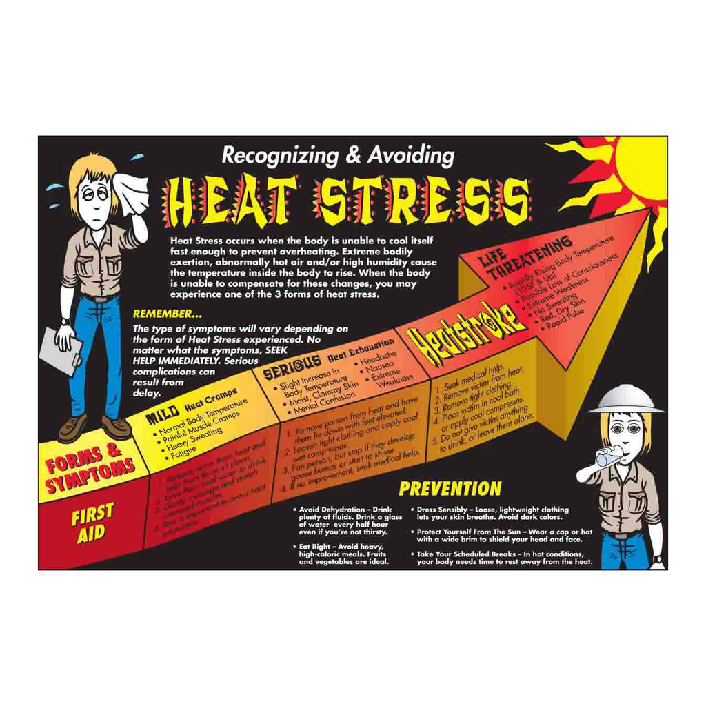 Brady Wall Chart