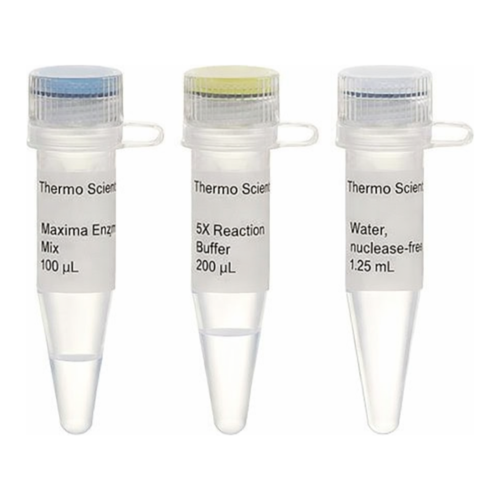 Thermo Fisher Scientific Maxima First Strand cDNA Synthesis Kit for RT-qPCR, Each