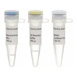 Thermo Fisher Scientific Maxima First Strand cDNA Synthesis Kit for RT-qPCR, Each