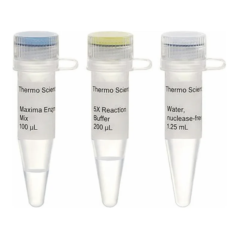 Thermo Fisher Scientific Maxima First Strand cDNA Synthesis Kit for RT-qPCR, Each