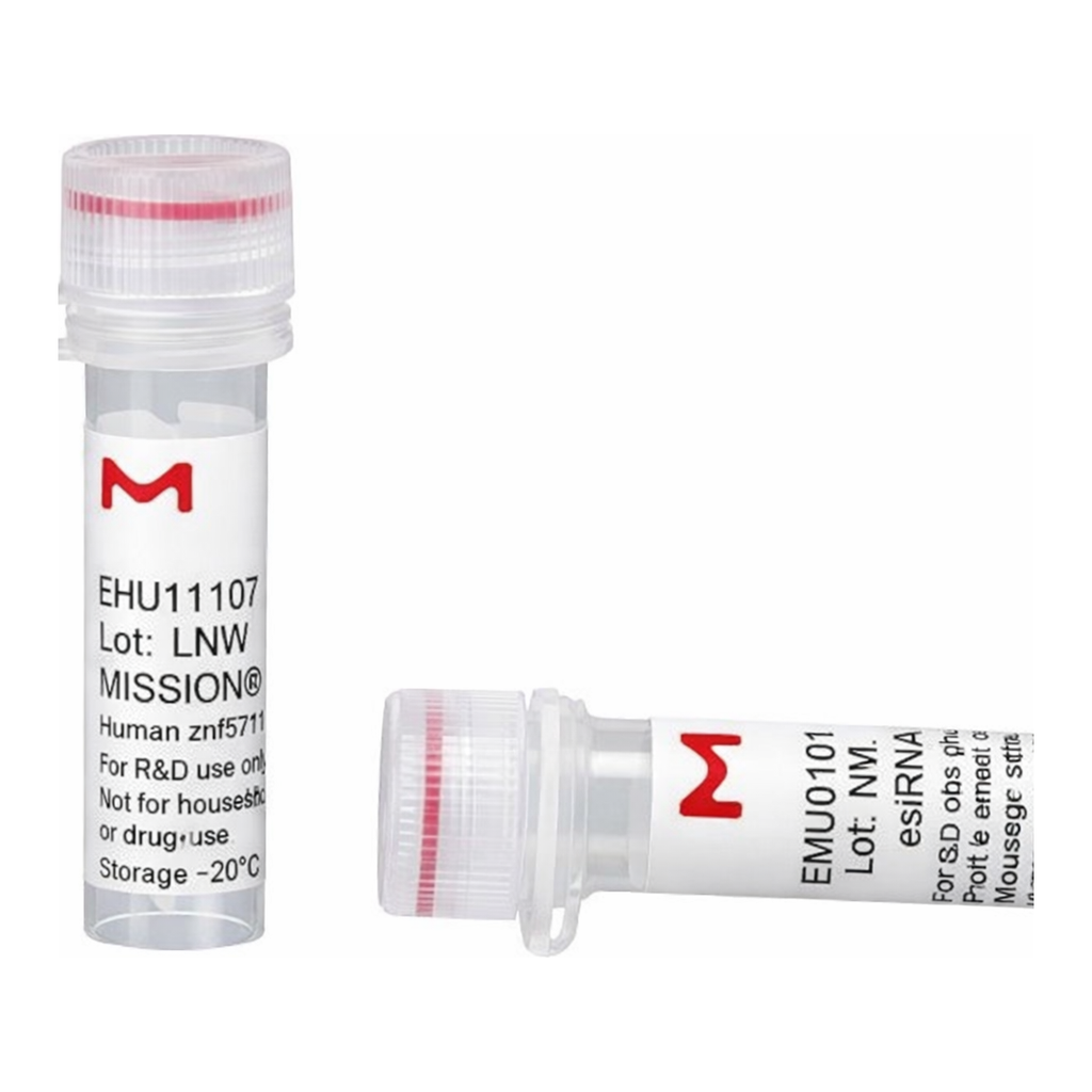 Merck MISSION(R) esiRNA