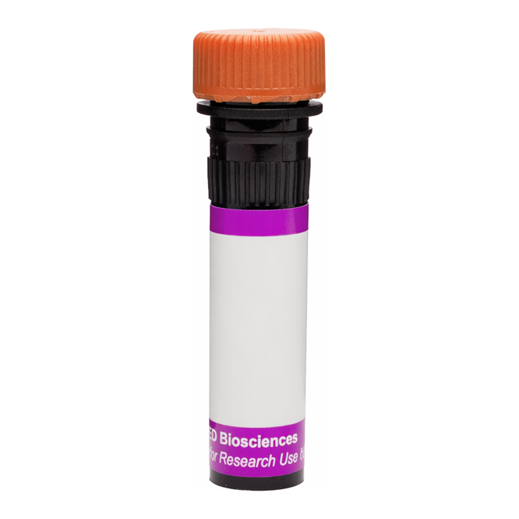 BD BV605 Mouse Anti-Human Active β2 Integrin (CD18)