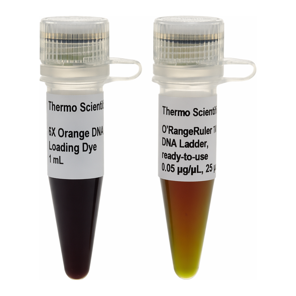 Thermo Fisher Scientific O`RangeRuler 20 bp DNA Ladder, ready-to-use