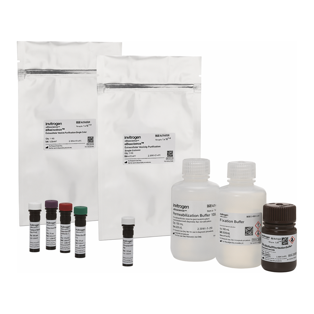 Thermo Fisher Scientific eBioscience Essential Human Treg Phenotyping Kit