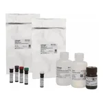 Thermo Fisher Scientific eBioscience Essential Human Treg Phenotyping Kit