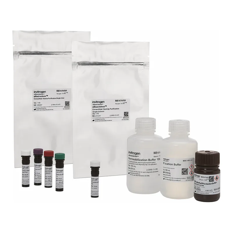 Thermo Fisher Scientific eBioscience Essential Human Treg Phenotyping Kit