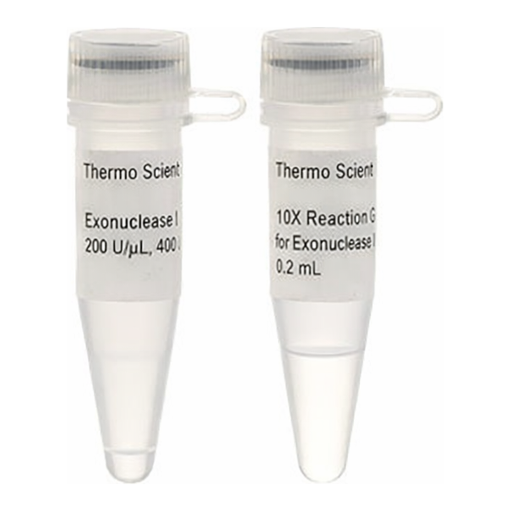Thermo Fisher Scientific Exonuclease III (200 U/μL)