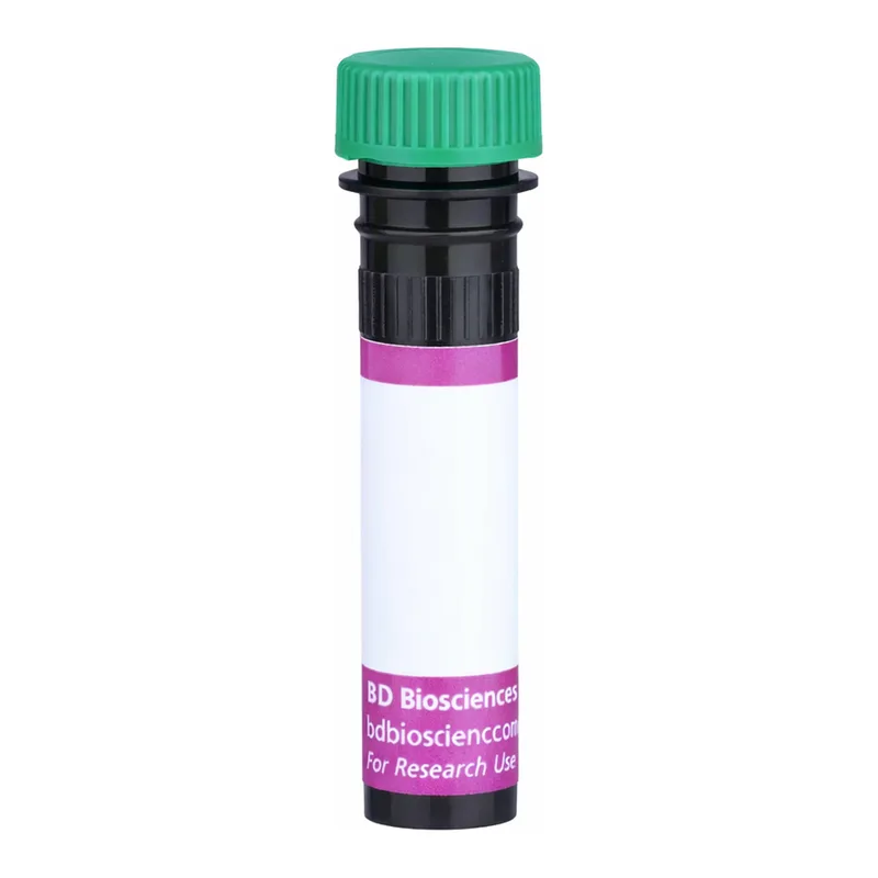 BD BV480 Biosimilar Anti-Human EGFR