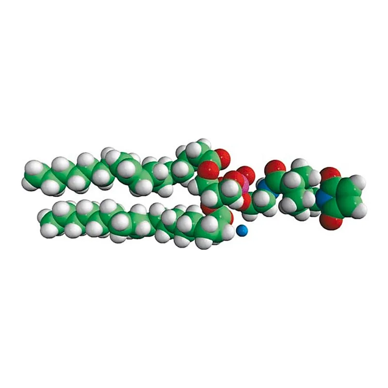 Merck 18:1 PE MCC