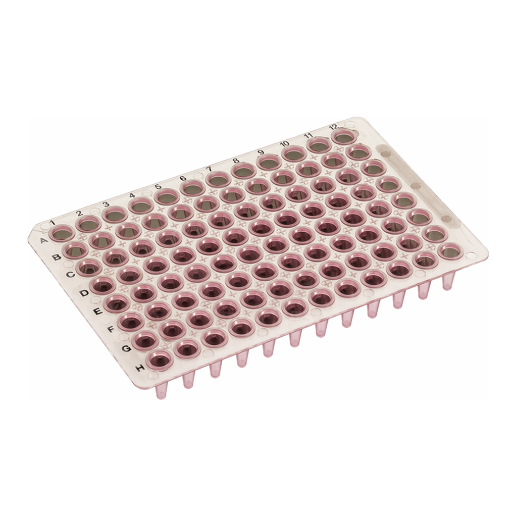 SIMPORT Amplate TM PP Low Profile 96-well PCR Plate