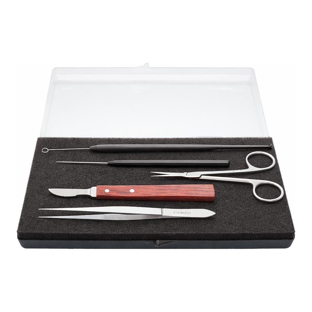 HAMMACHER Basic Experiments Set