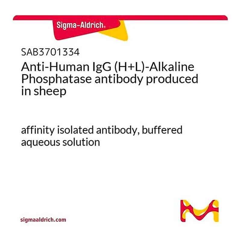 Merck Anti-Human IgG (H+L)-Alkaline Phosphatase antibody produced in sheep