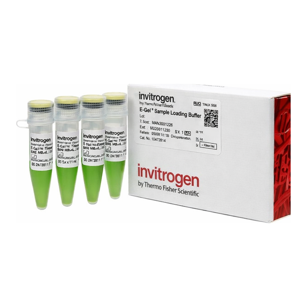 Thermo Fisher Scientific E-Gel Sample Loading Buffer, 1X