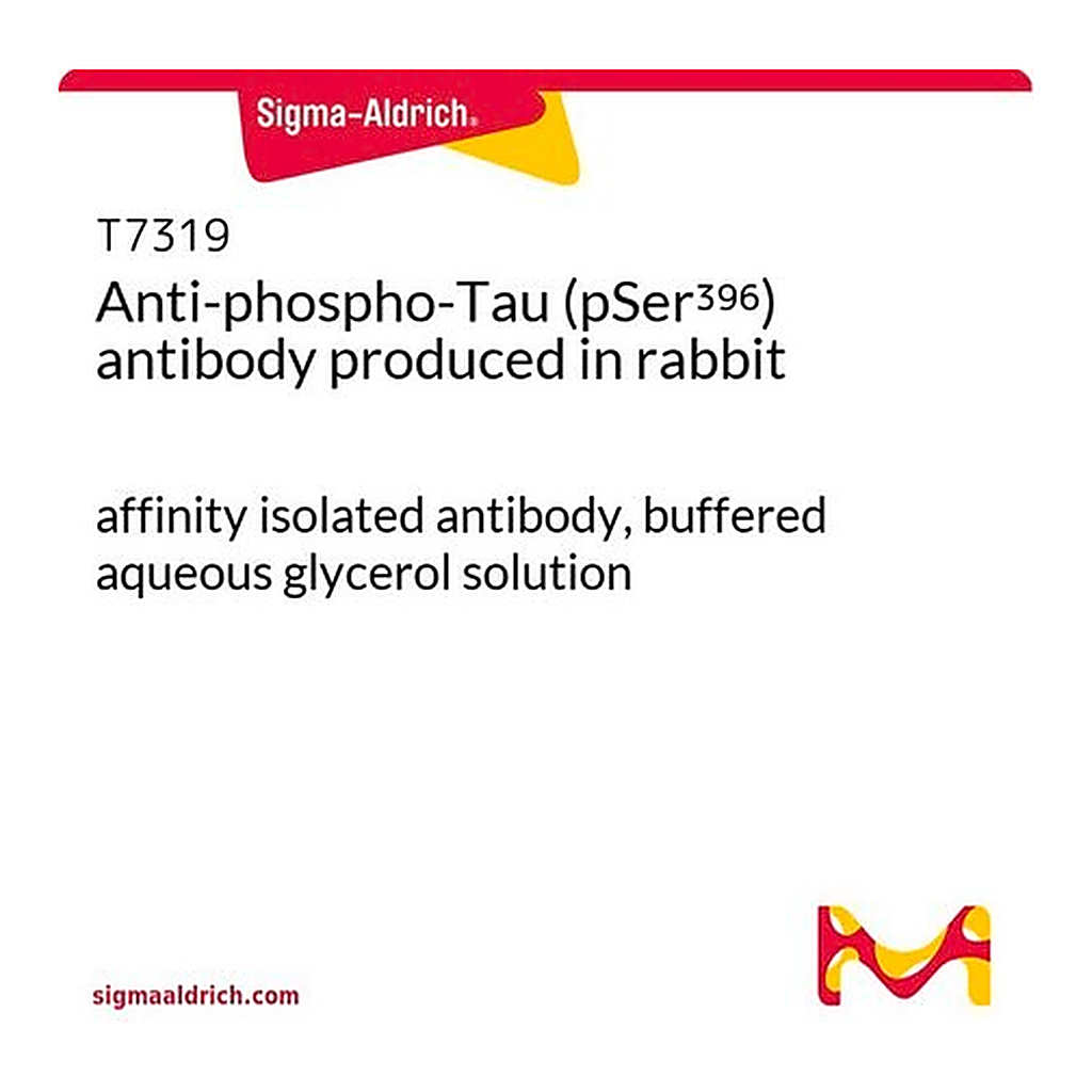 Merck Anti-phospho-Tau (pSer396) antibody produced in rabbit