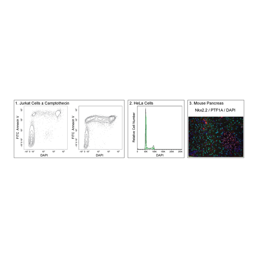 BD DAPI Solution