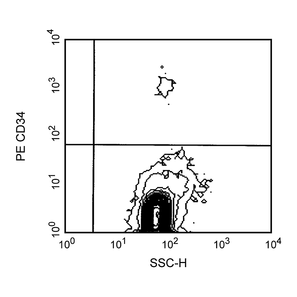 BD PE Mouse Anti-Human CD34