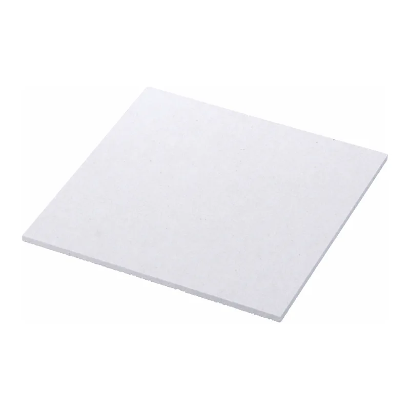 AS ONE Porcelain Heat-Resistant Plate, 자제 내열판