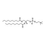 Merck 10:0 PC