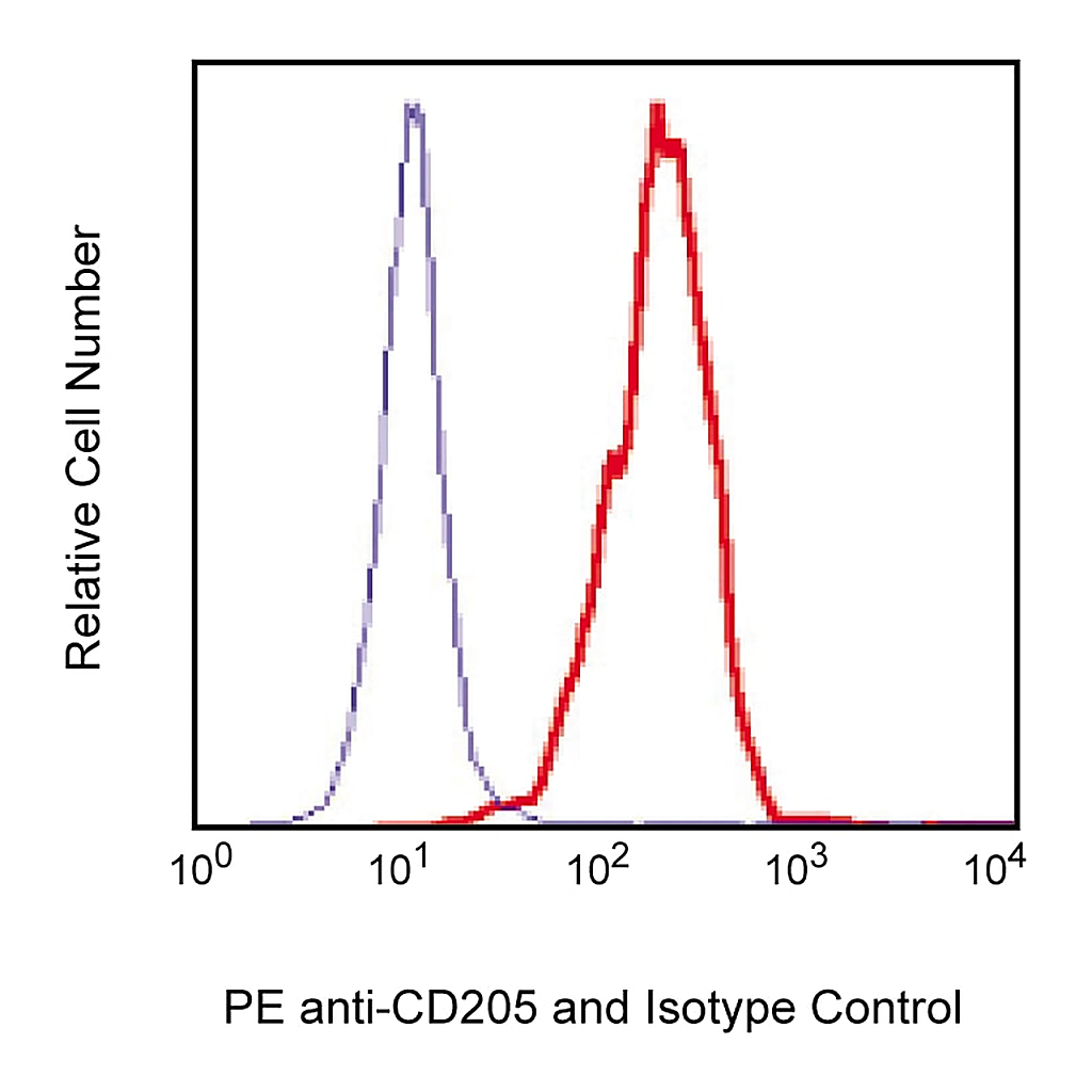 BD PE Mouse anti-Human CD205 (DEC-205)