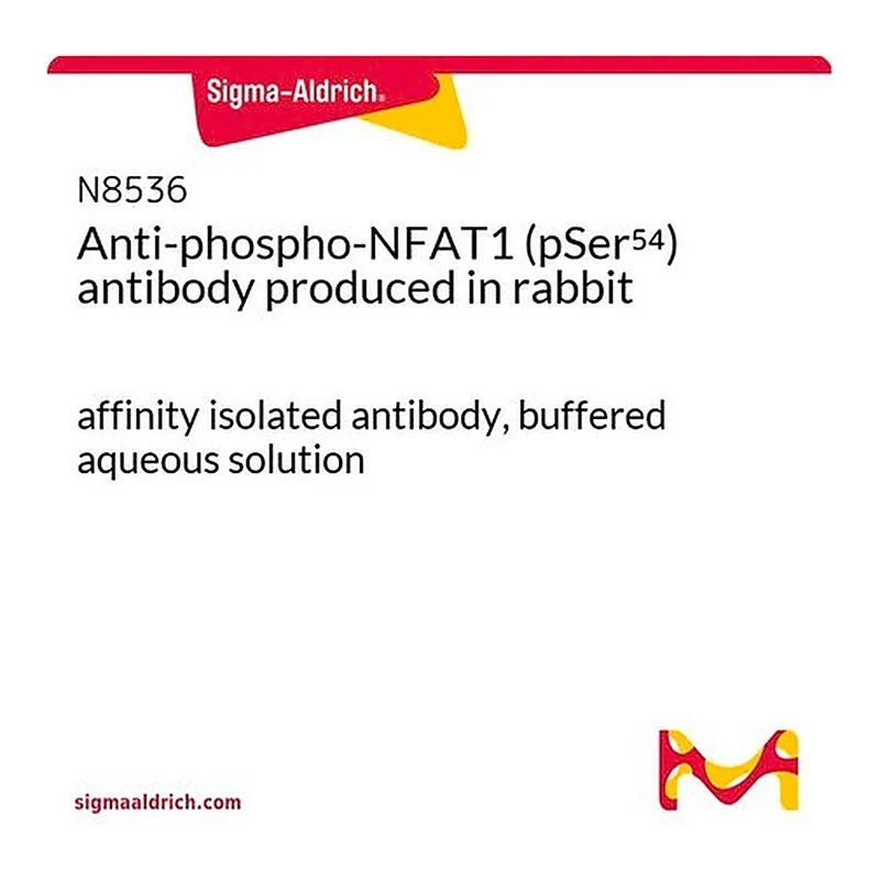 Merck Anti-phospho-NFAT1 (pSer54) antibody produced in rabbit