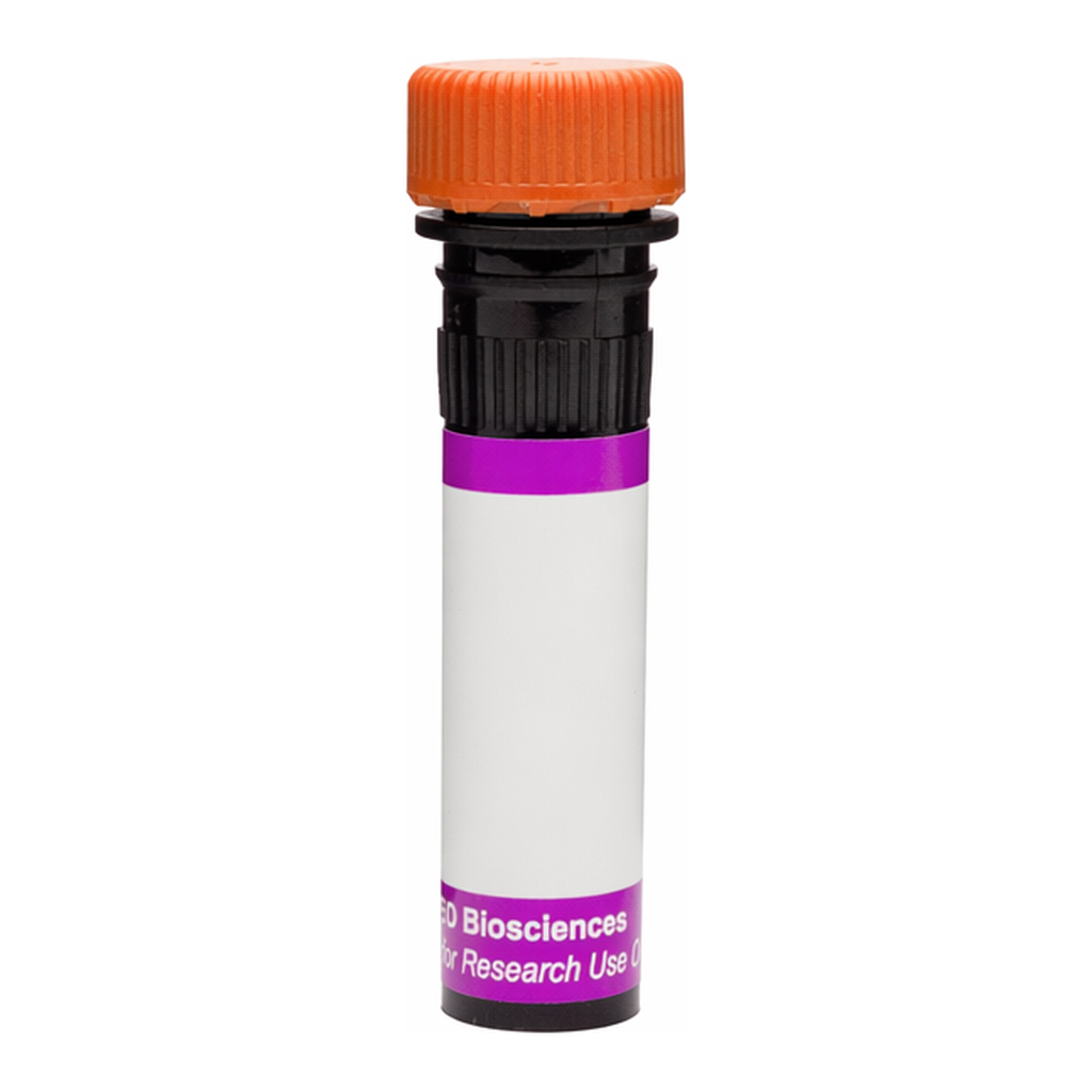 BD BV605 Mouse Anti-Human Neuropilin-1 (CD304)