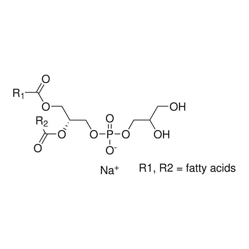 Merck L-alpha-Phosphatidyl-DL-glycerol sodium salt from egg yolk lecithin