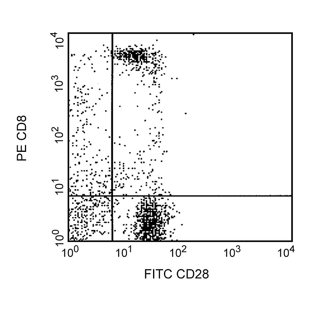 BD FITC Mouse Anti-Human CD28