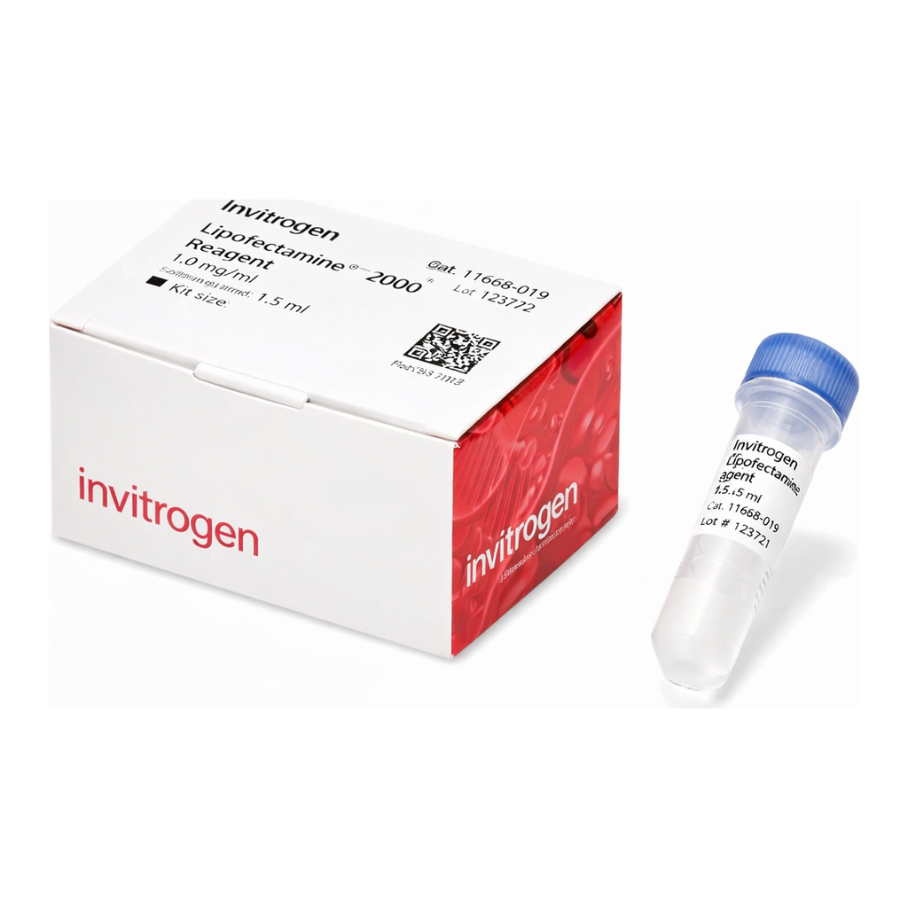 Thermo Fisher Scientific Lipofectamine 2000 Transfection Reagent, 1.5 mL
