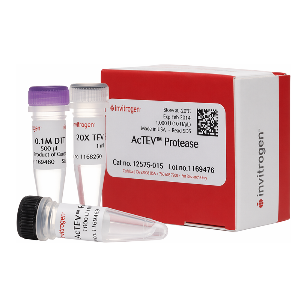 Thermo Fisher Scientific AcTEV Protease, 1000 U