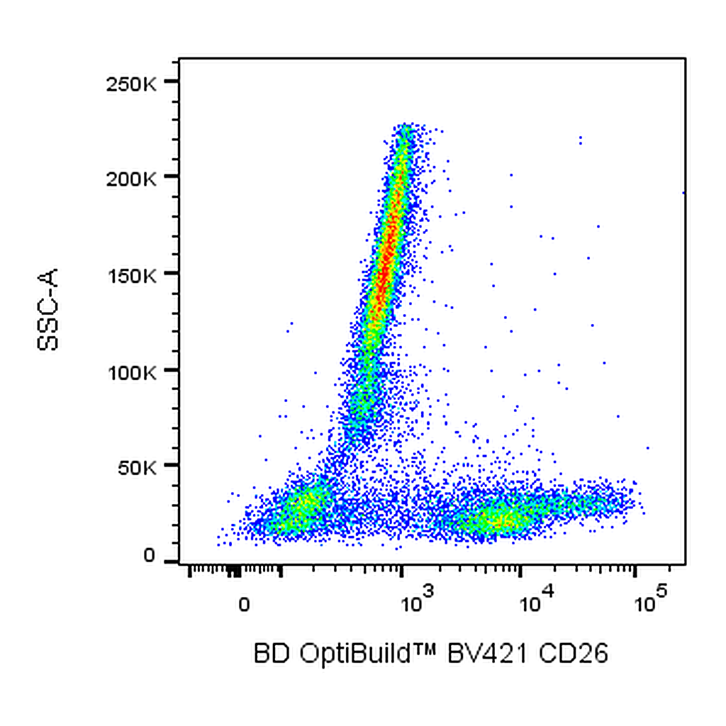 BD BV421 Mouse Anti-Human CD26