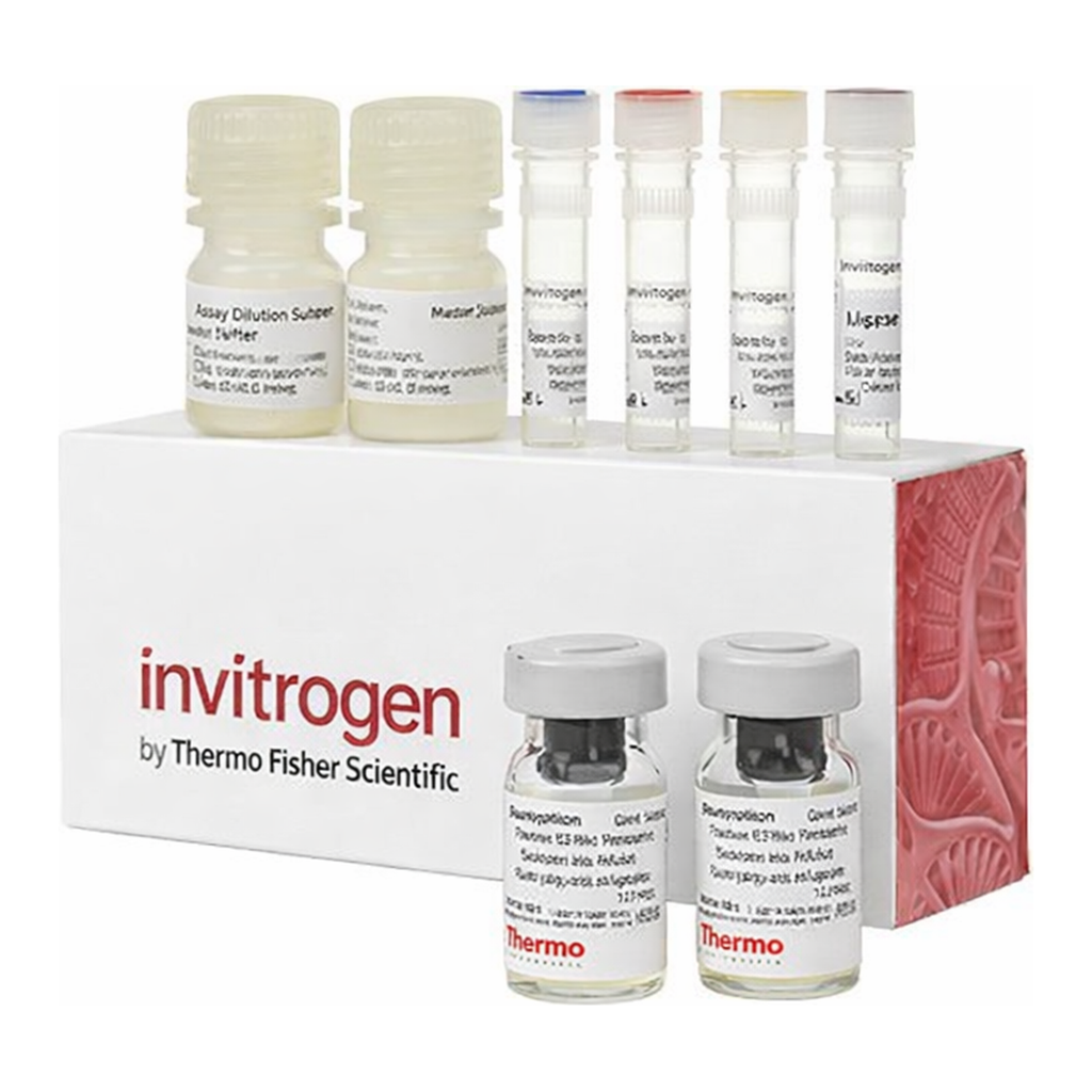 Thermo Fisher Scientific Human Tau Total ProQuantum Immunoassay Kit