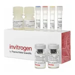 Thermo Fisher Scientific Human Tau Total ProQuantum Immunoassay Kit