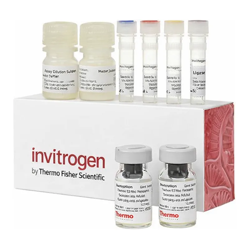 Thermo Fisher Scientific Human Tau Total ProQuantum Immunoassay Kit