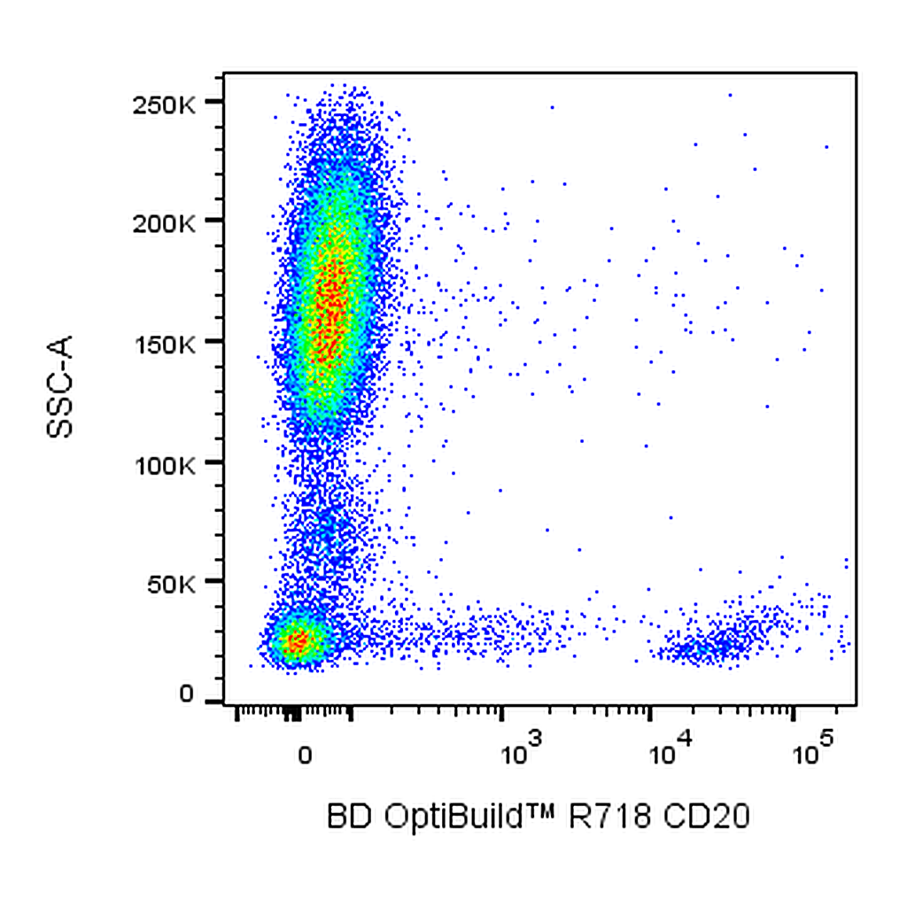 BD R718 Mouse Anti-Human CD20