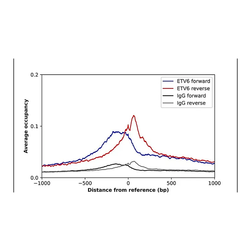 Merck Anti-ETV6 antibody produced in rabbit
