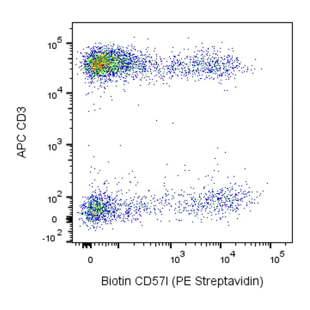 BD Biotin Mouse Anti-Human CD57
