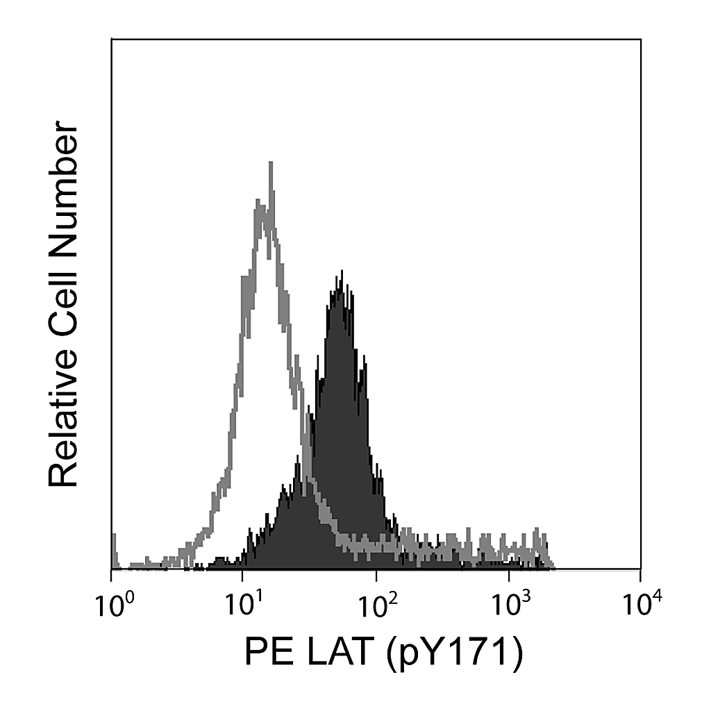 BD PE Mouse anti-LAT (pY171)