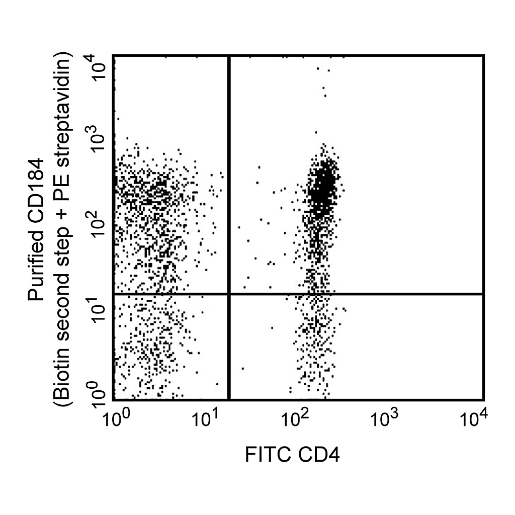 BD Purified Rat Anti-Human CD184