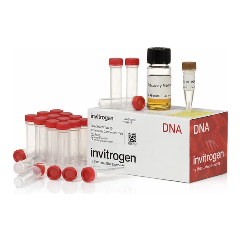 Thermo Fisher Scientific One Shot INV110 Chemically Competent E. coli