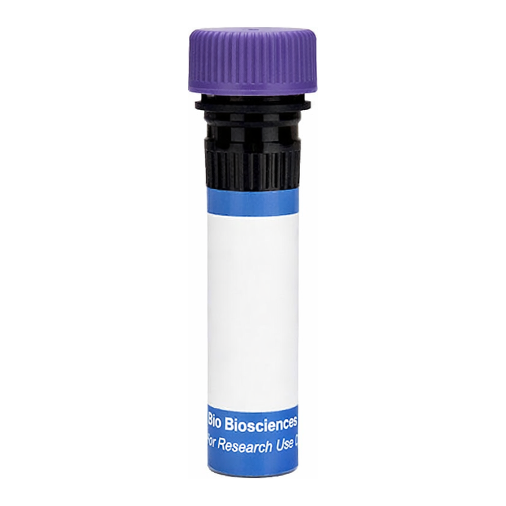 BD RB744 Mouse Anti-Human White Blood Cell