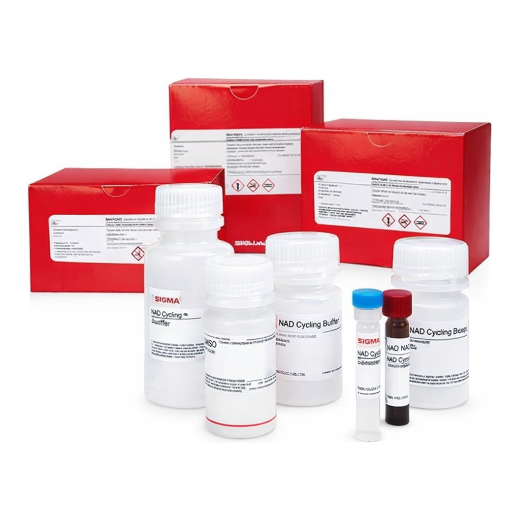 Merck BETA-SECRETASE ACT. FLUORO. ASSAY KIT