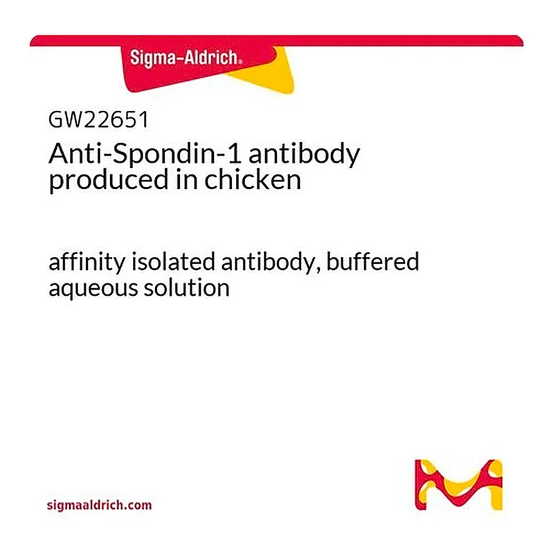 Merck Anti-Spondin-1 antibody produced in chicken