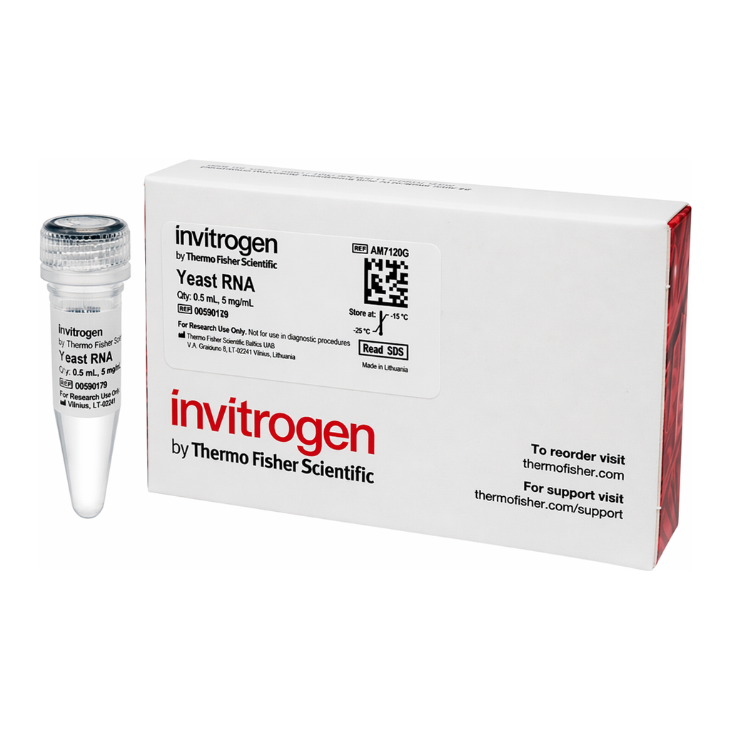 Thermo Fisher Scientific Yeast RNA (5 mg/mL)