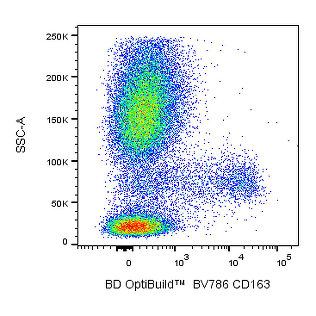 BD BV786 Mouse Anti-Human CD163